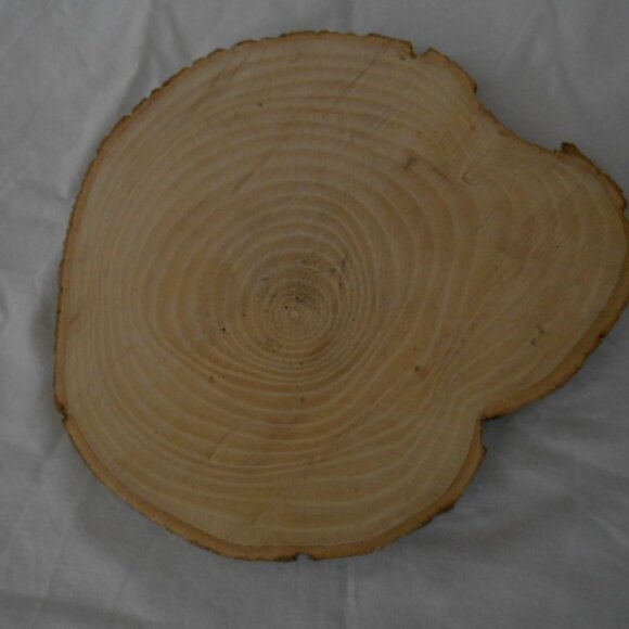 Live Edge Wood HANDMADE Cribbage Board round cookie - Picture 3 of 6